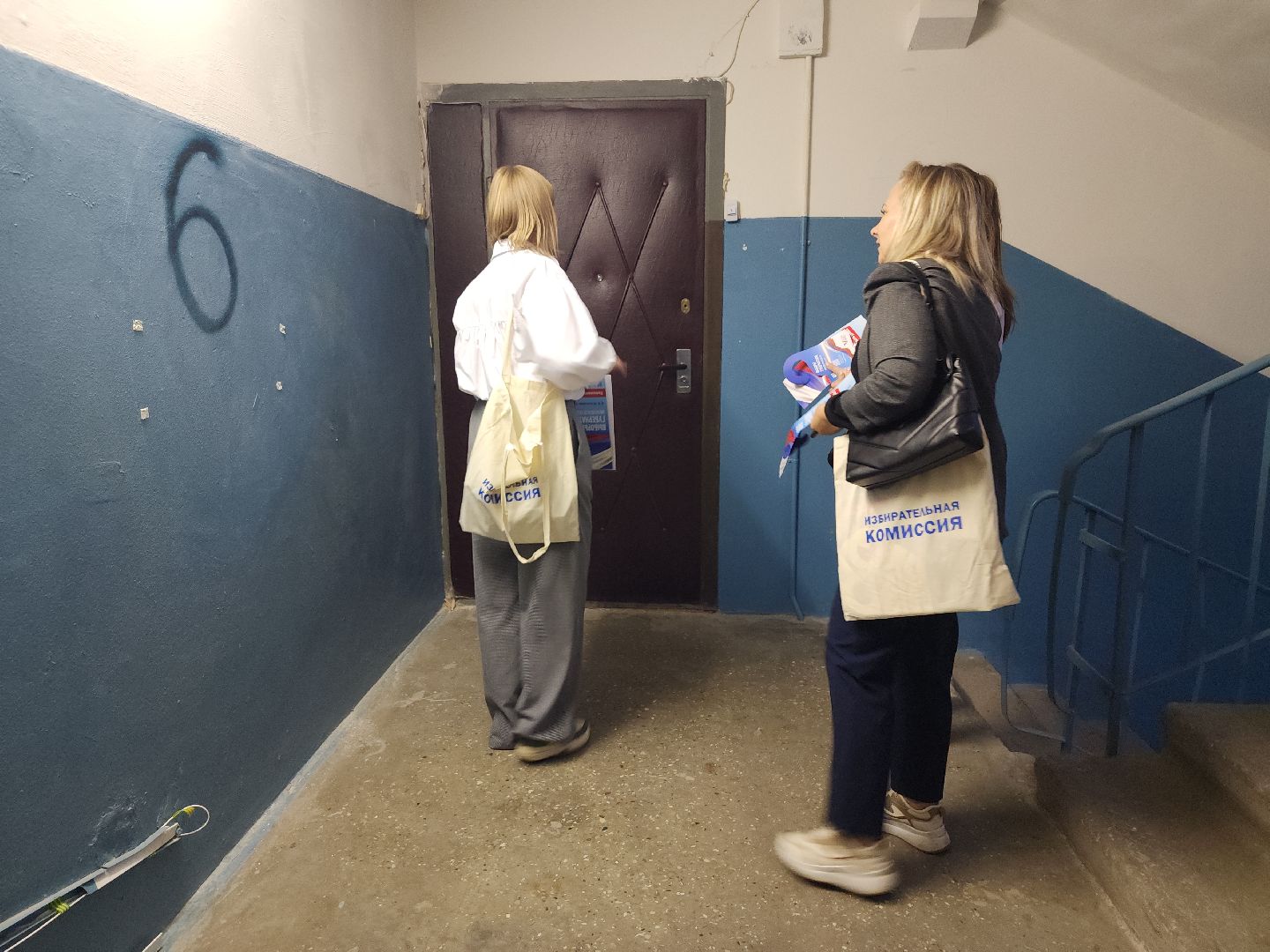 Выборы, губернатор, единый день голосования, Электросталь, городской округ Электросталь