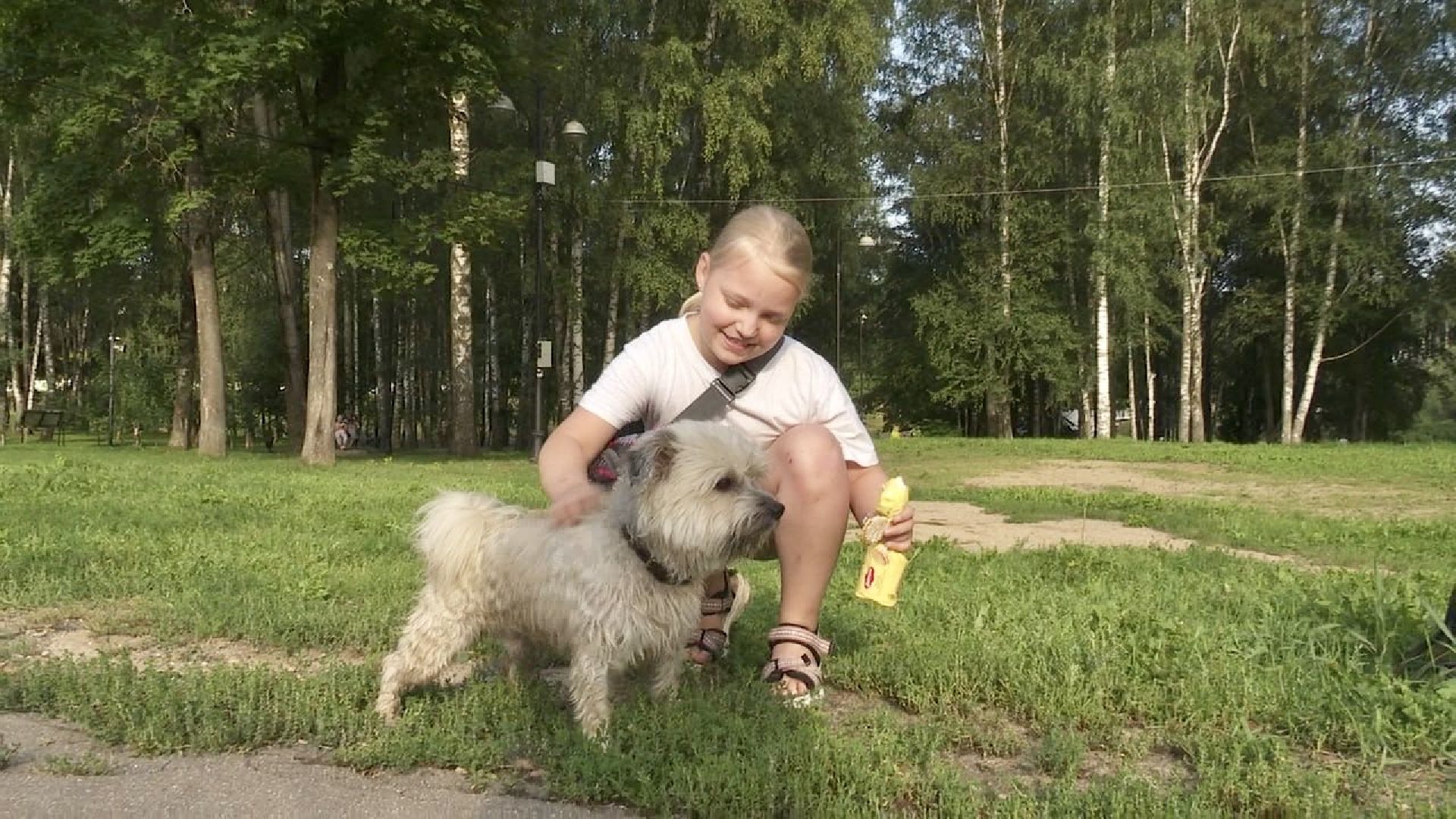 Клин, общество, животные, благотворительность