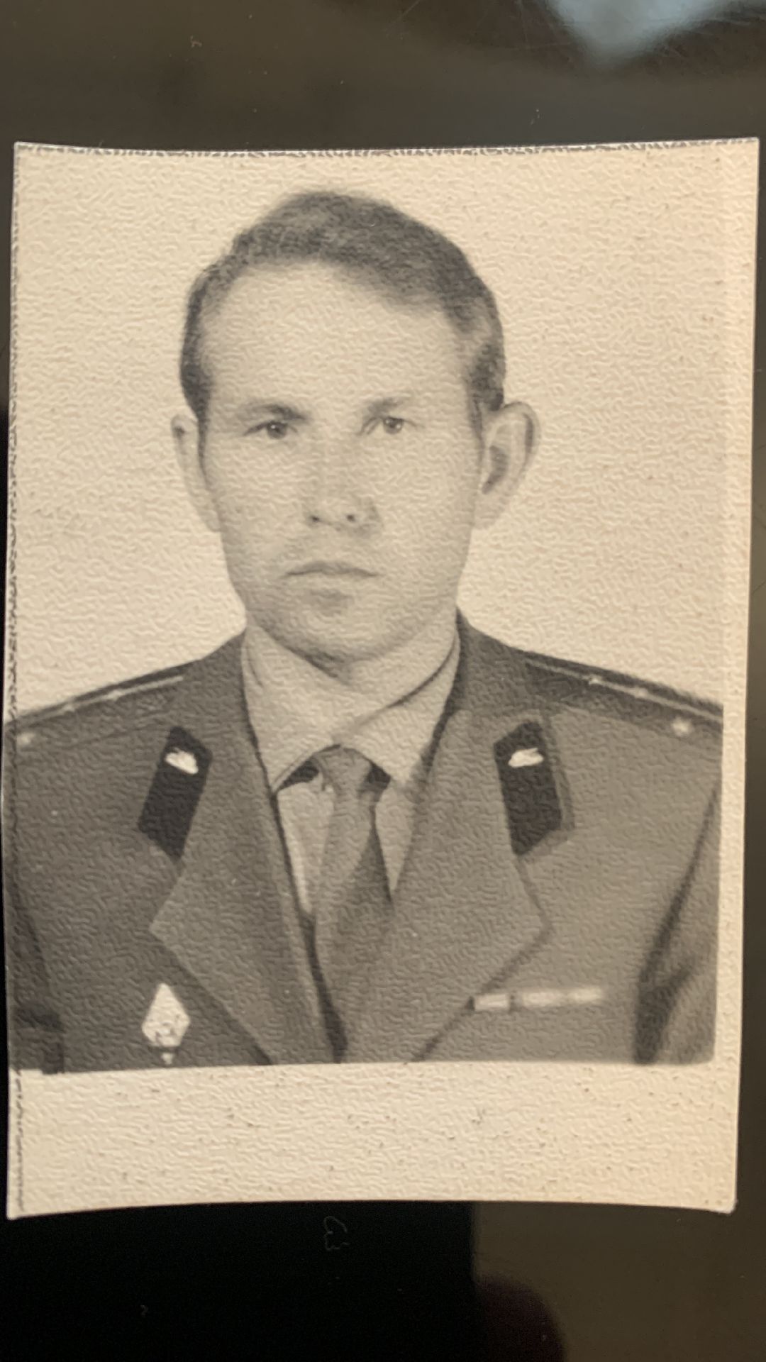 ступино, общество