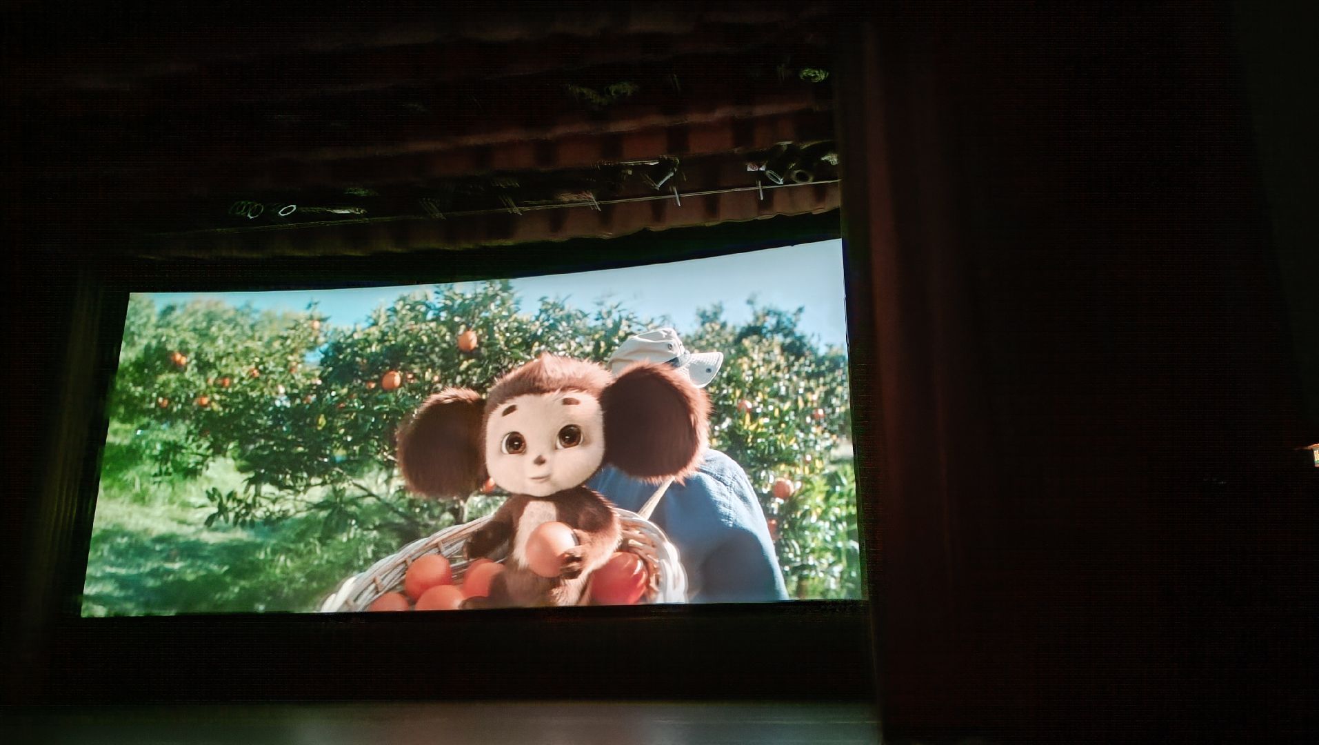 Лобня, культура, кино