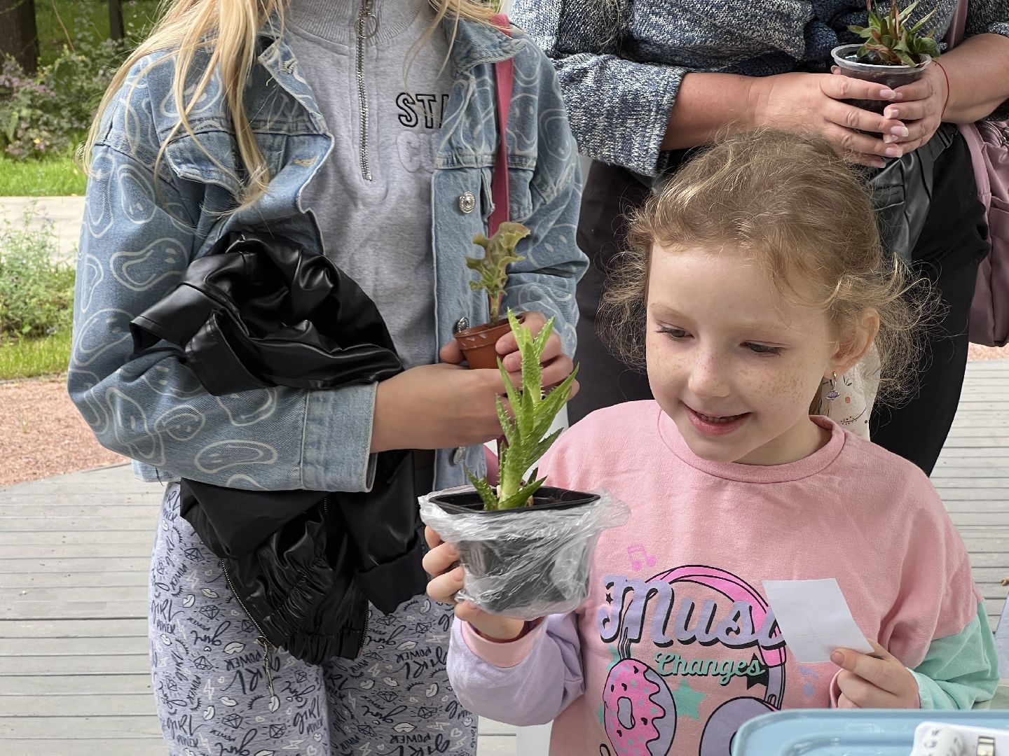 Химки, парк, растения, экология