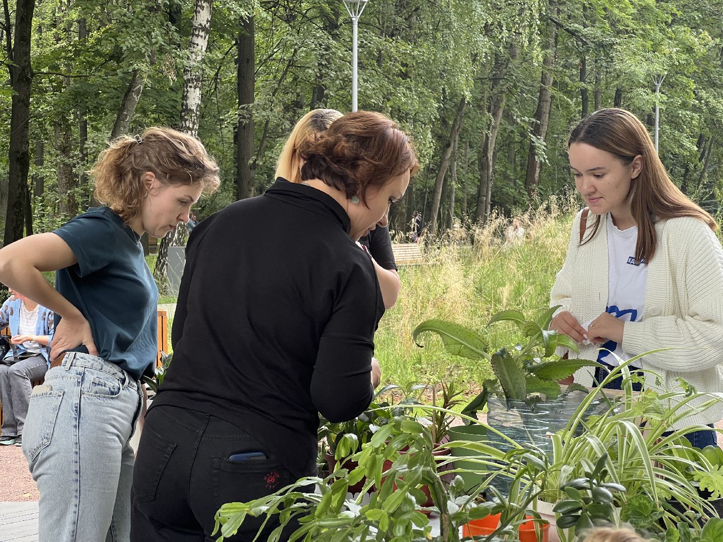 Химки, парк, растения, экология