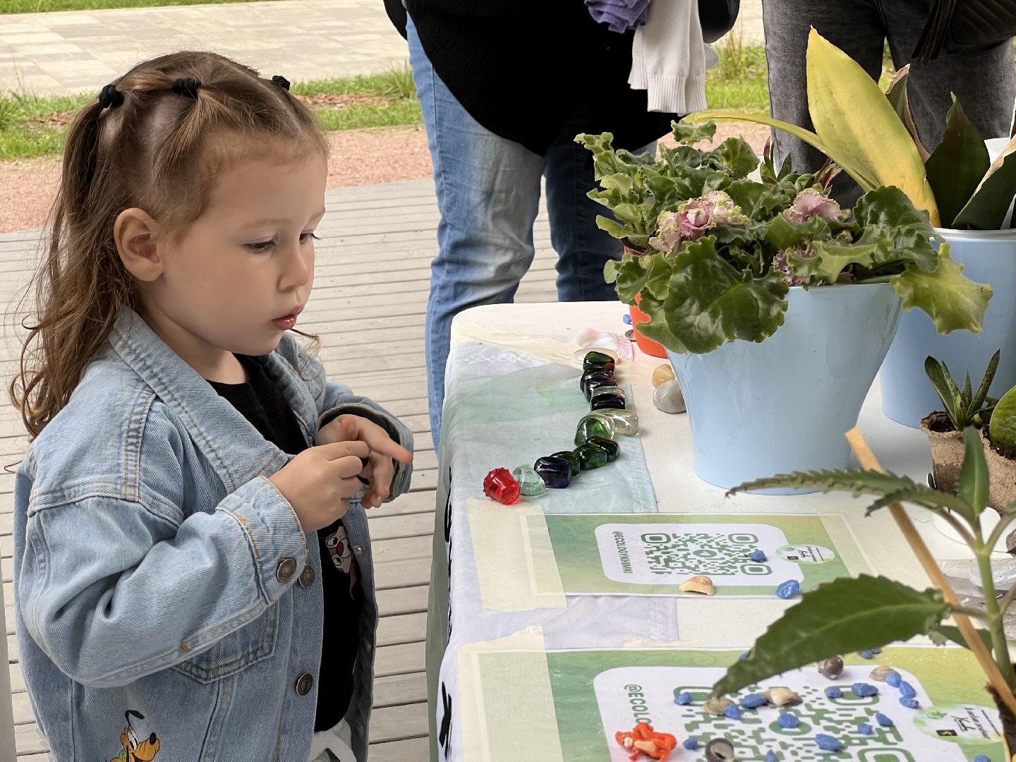 Химки, парк, растения, экология