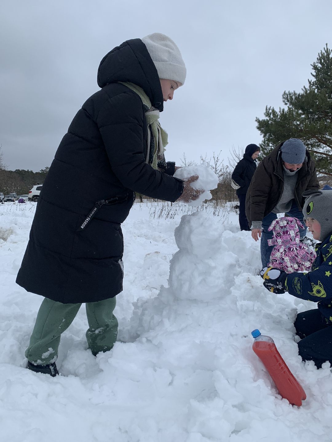 ступино, масленица