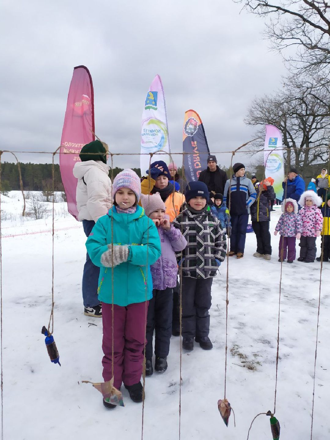 ступино, масленица