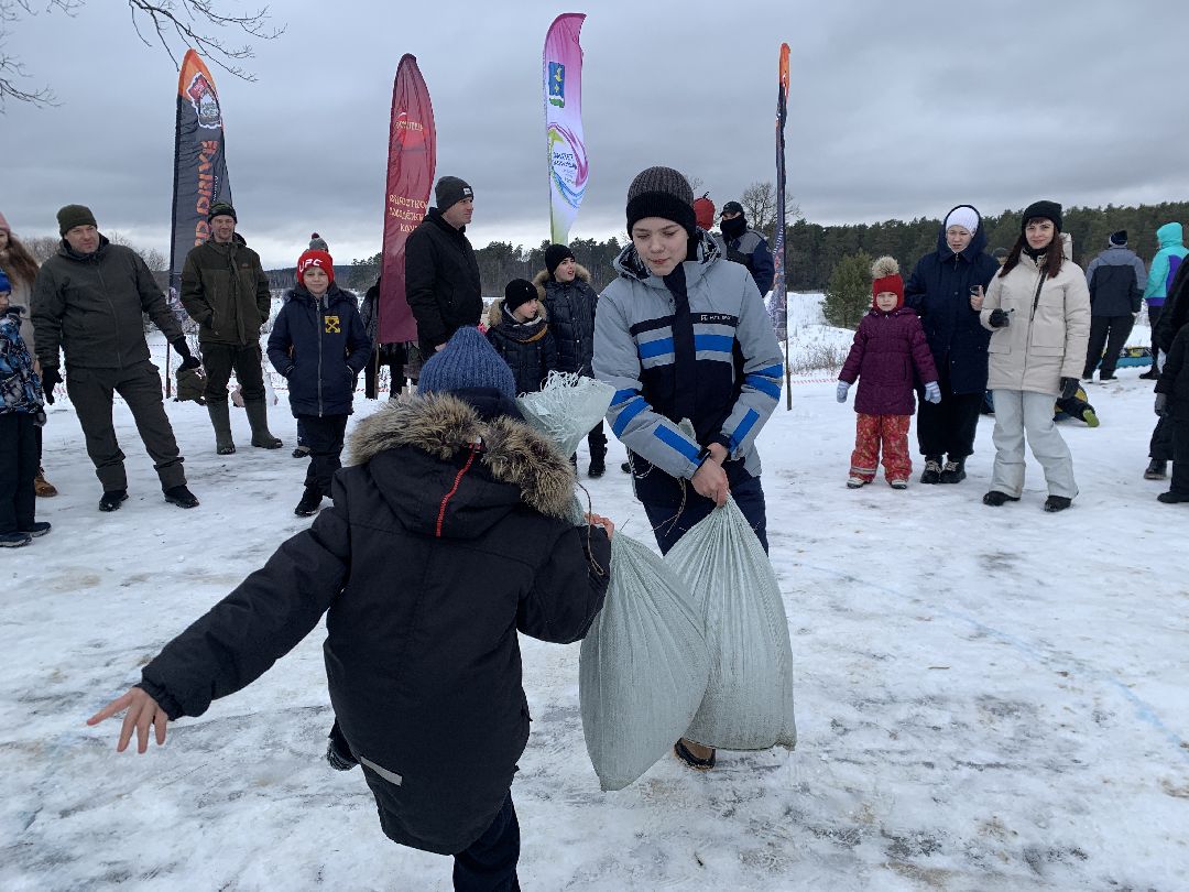 ступино, масленица