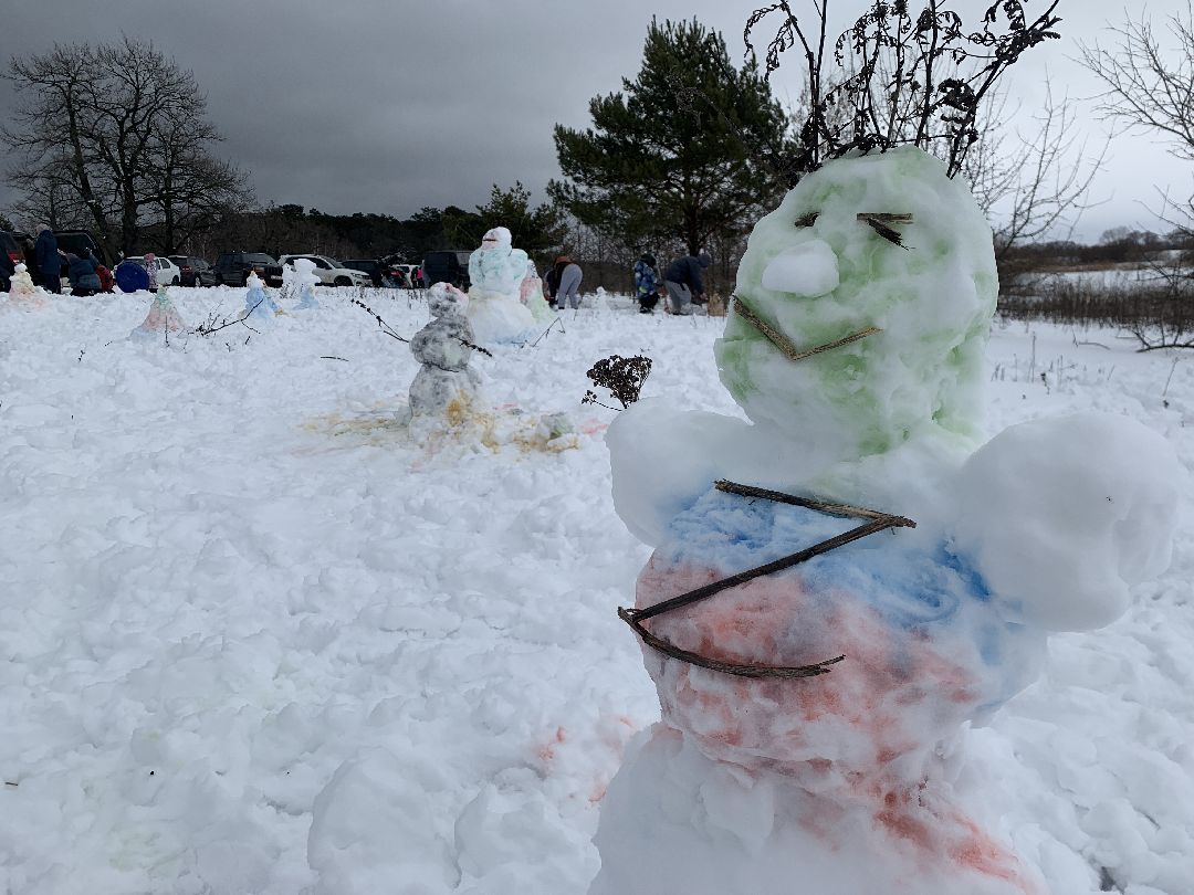 ступино, масленица