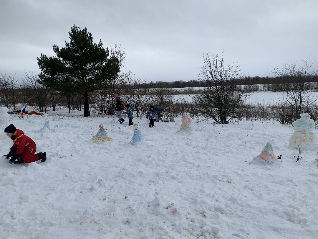 ступино, масленица