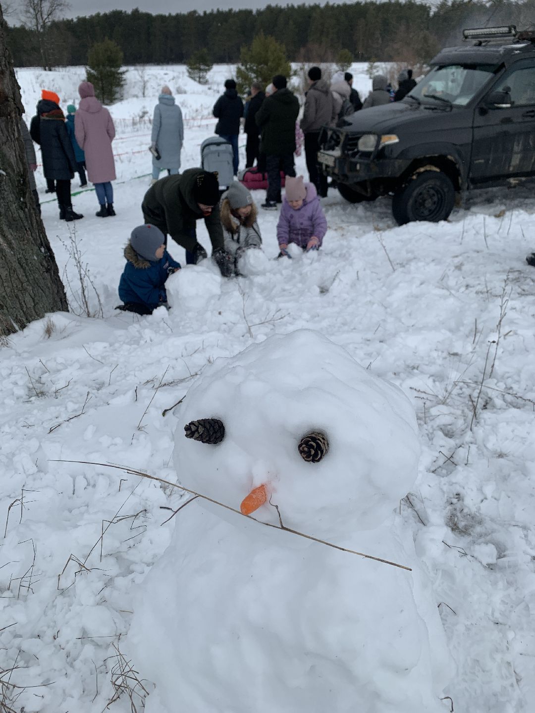 ступино, масленица