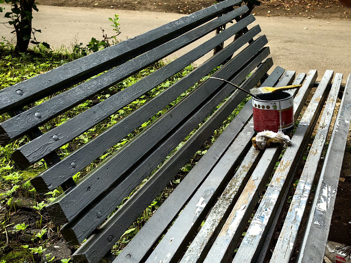 Лавочки, окрашено, краска, территория