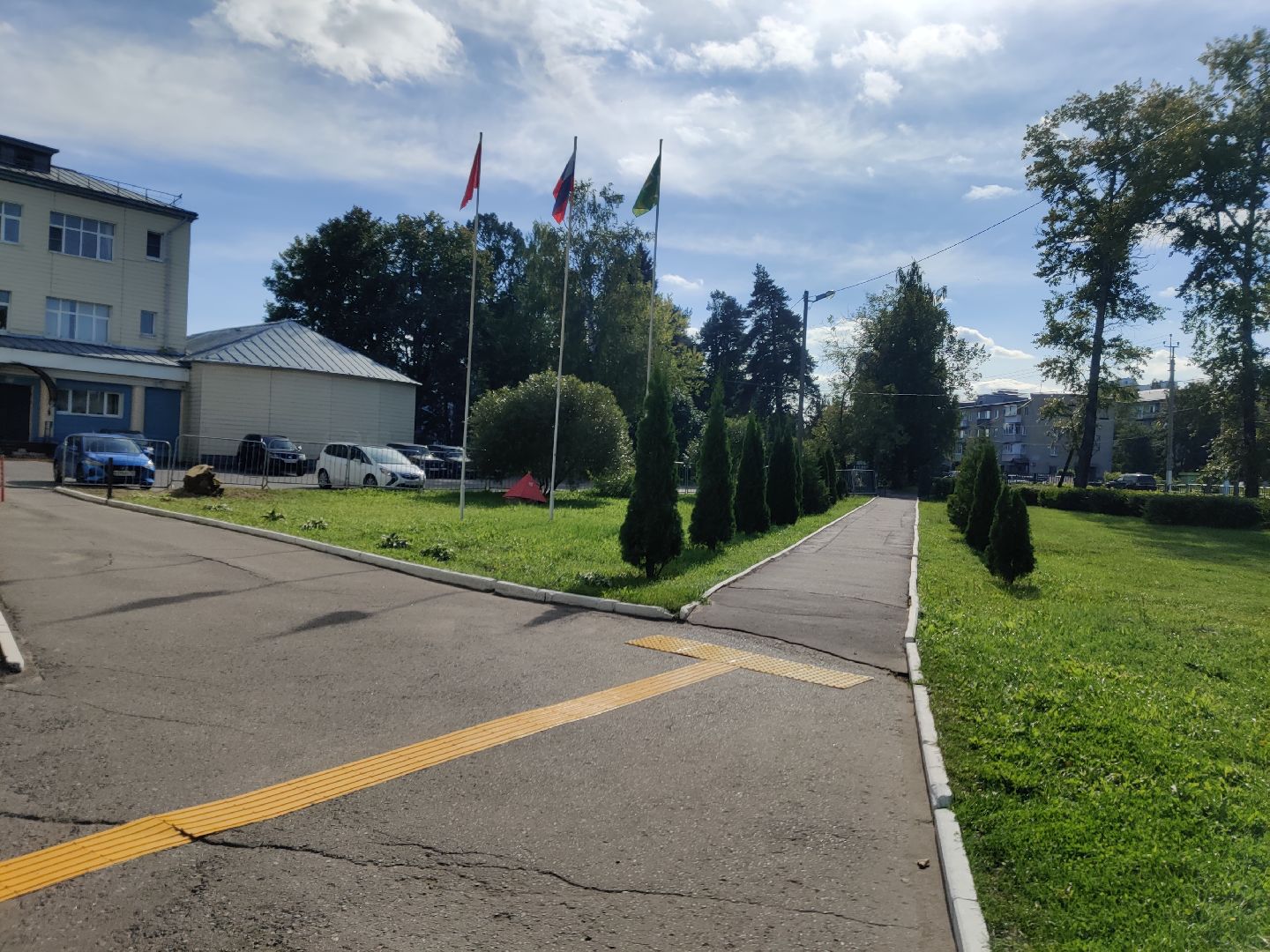 Красноармейск, Пушкинский, парк, удаление деревьев