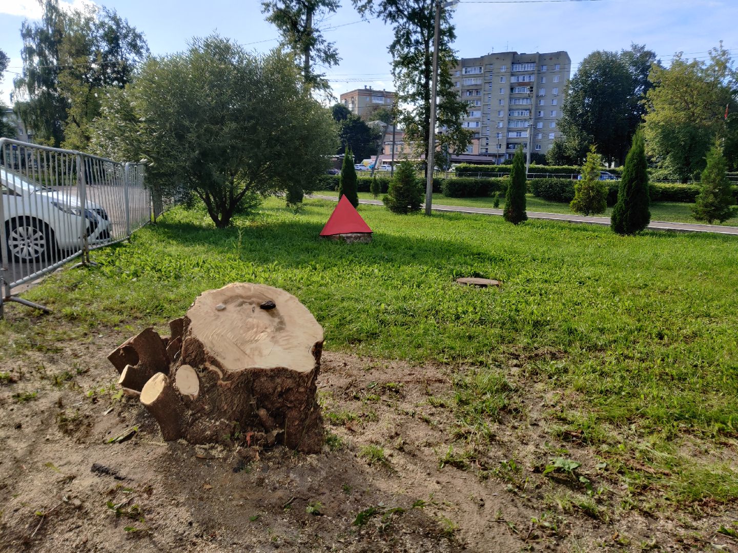 Красноармейск, Пушкинский, парк, удаление деревьев