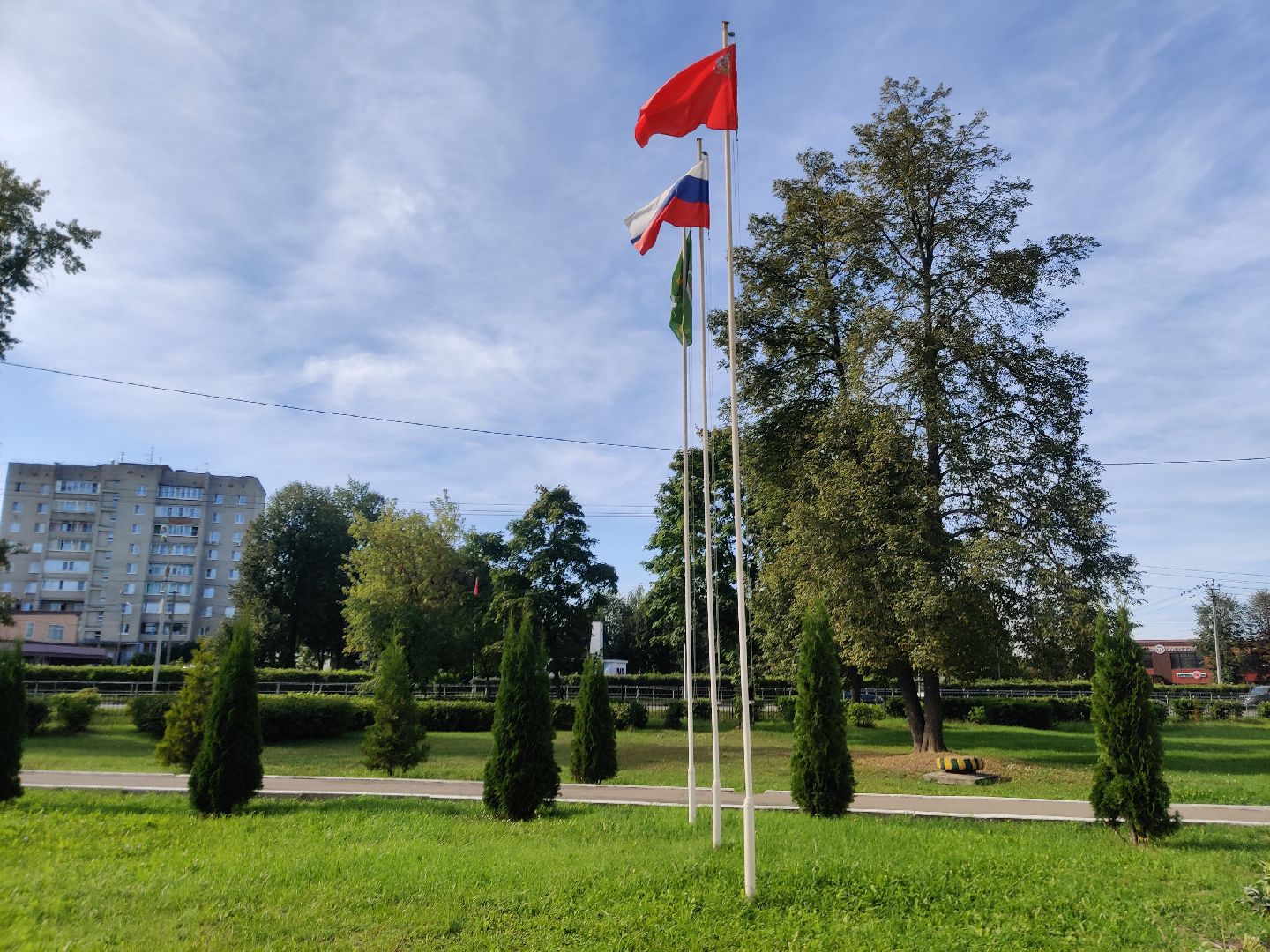 Красноармейск, Пушкинский, парк, удаление деревьев