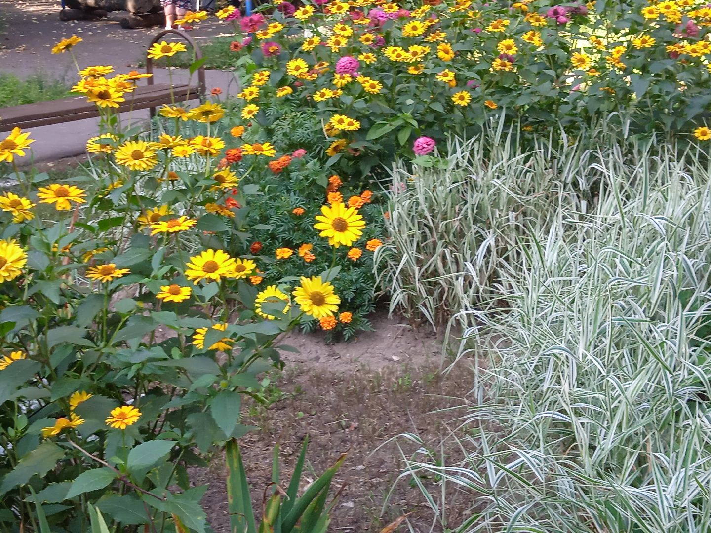 конкурс, благоустройство, лучший, цветник, у дома, фотографии