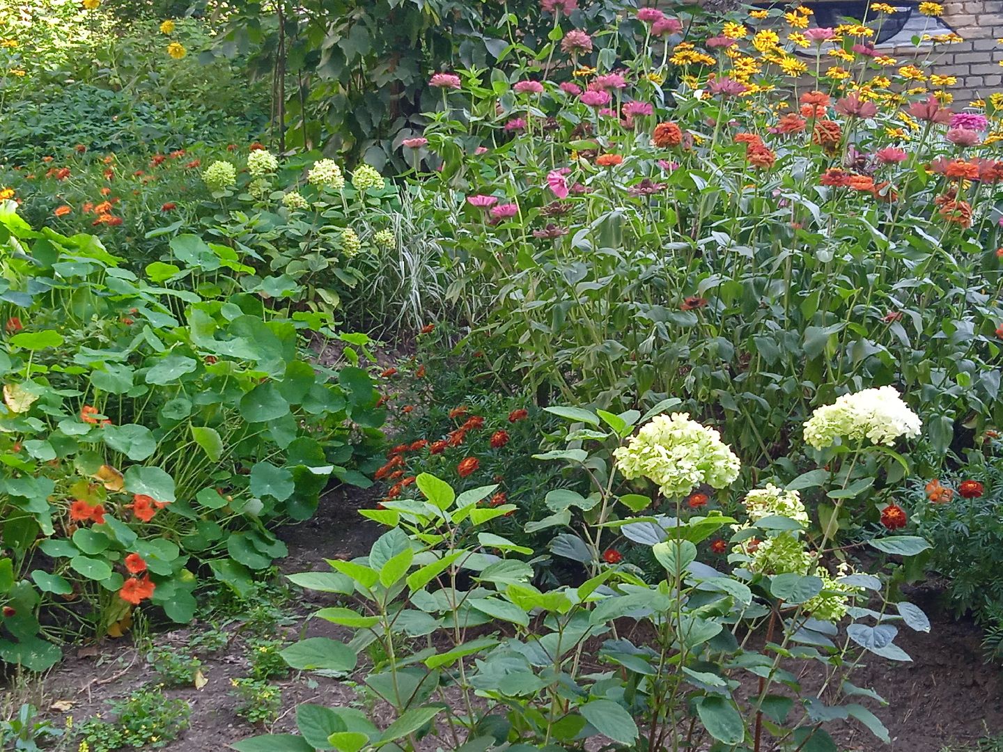 конкурс, благоустройство, лучший, цветник, у дома, фотографии