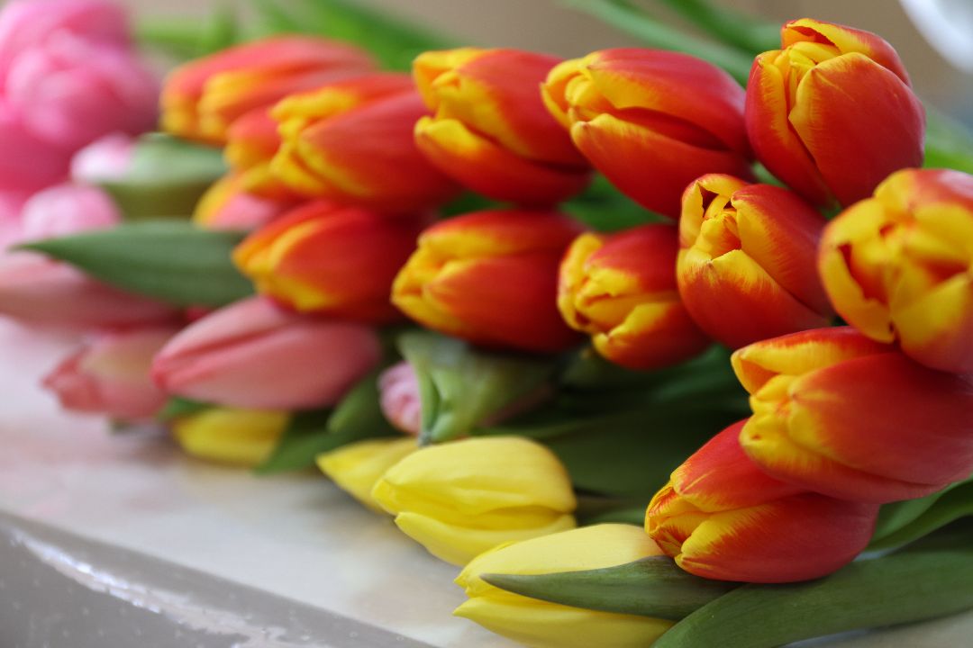 медицина, врачи, медицинский персонал, врачи, медсестры, 8 Марта, праздник, тюльпаны, торт, Реутов