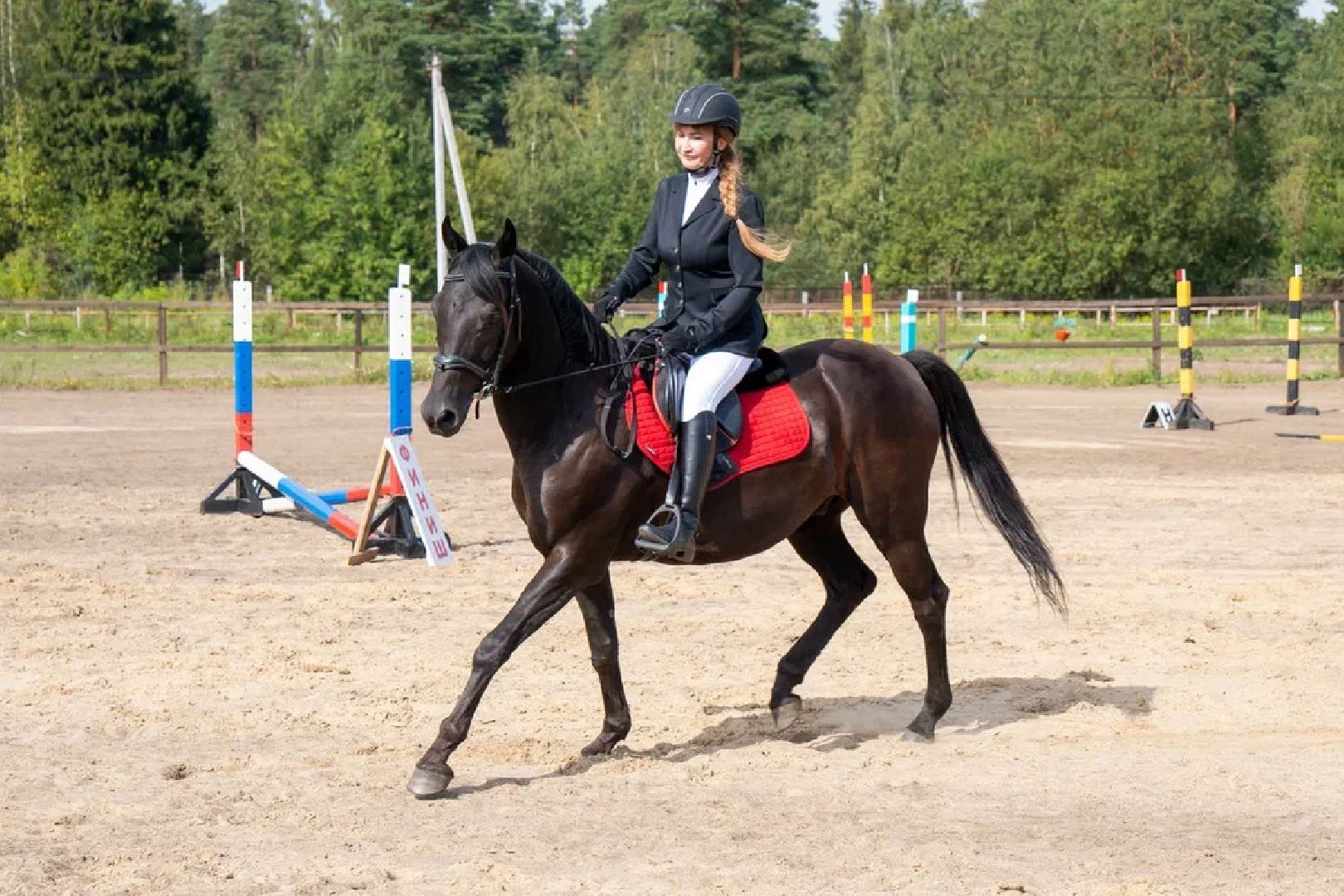 Спорт, конный спорт, конкур, соревнования, Орехово-Зуево