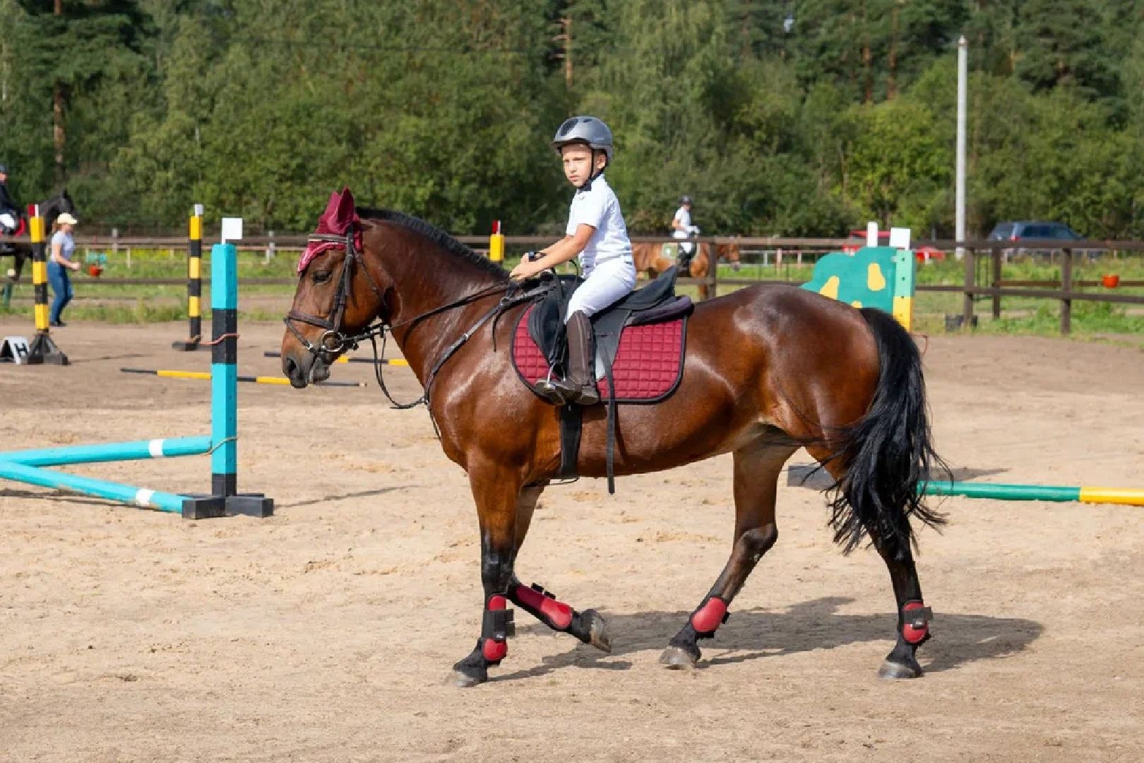 Спорт, конный спорт, конкур, соревнования, Орехово-Зуево