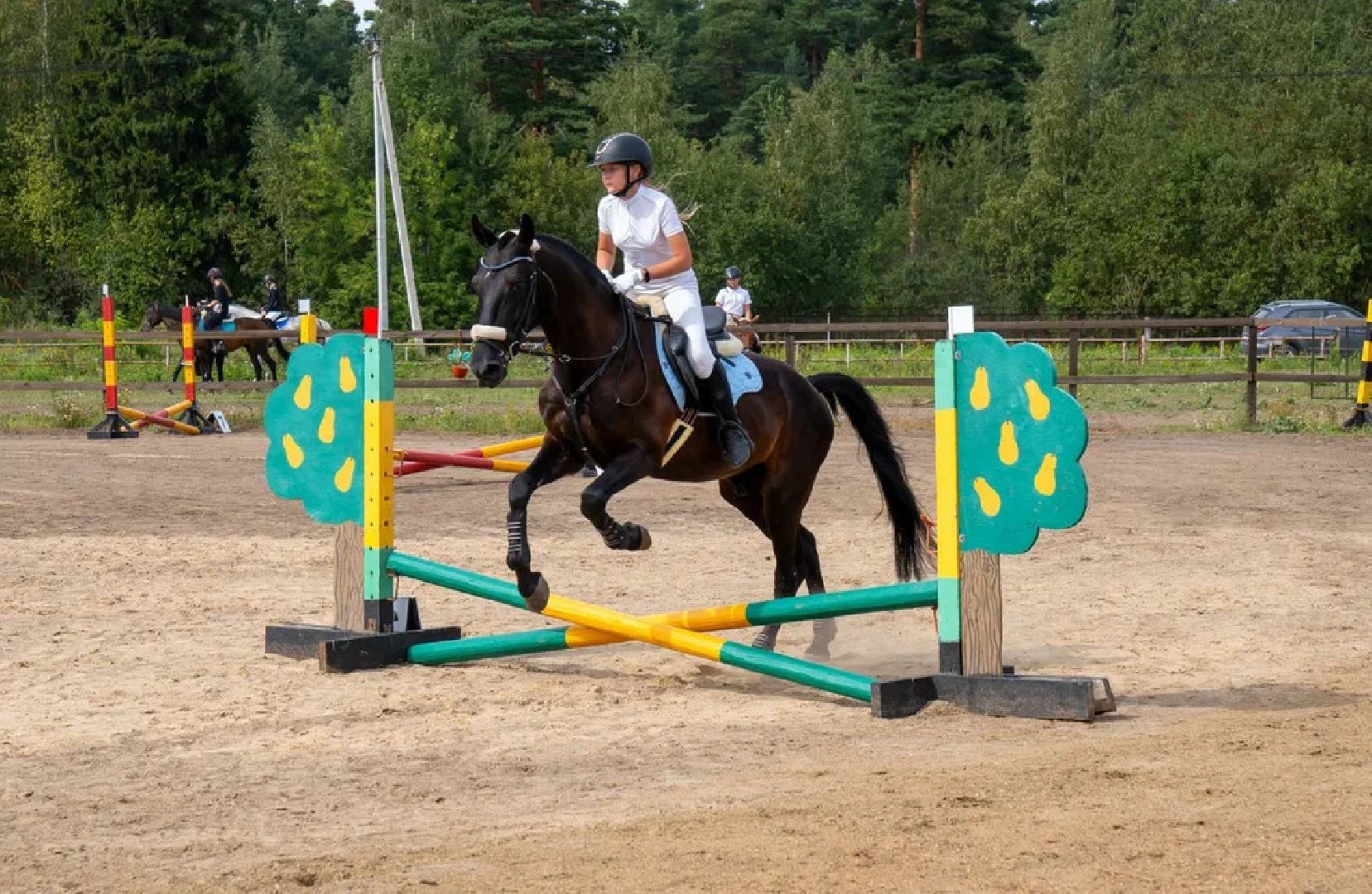 Спорт, конный спорт, конкур, соревнования, Орехово-Зуево