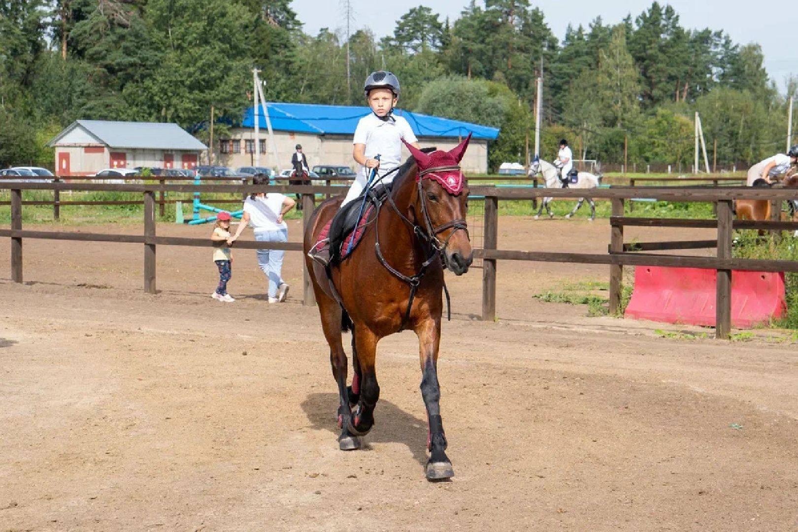 Спорт, конный спорт, конкур, соревнования, Орехово-Зуево