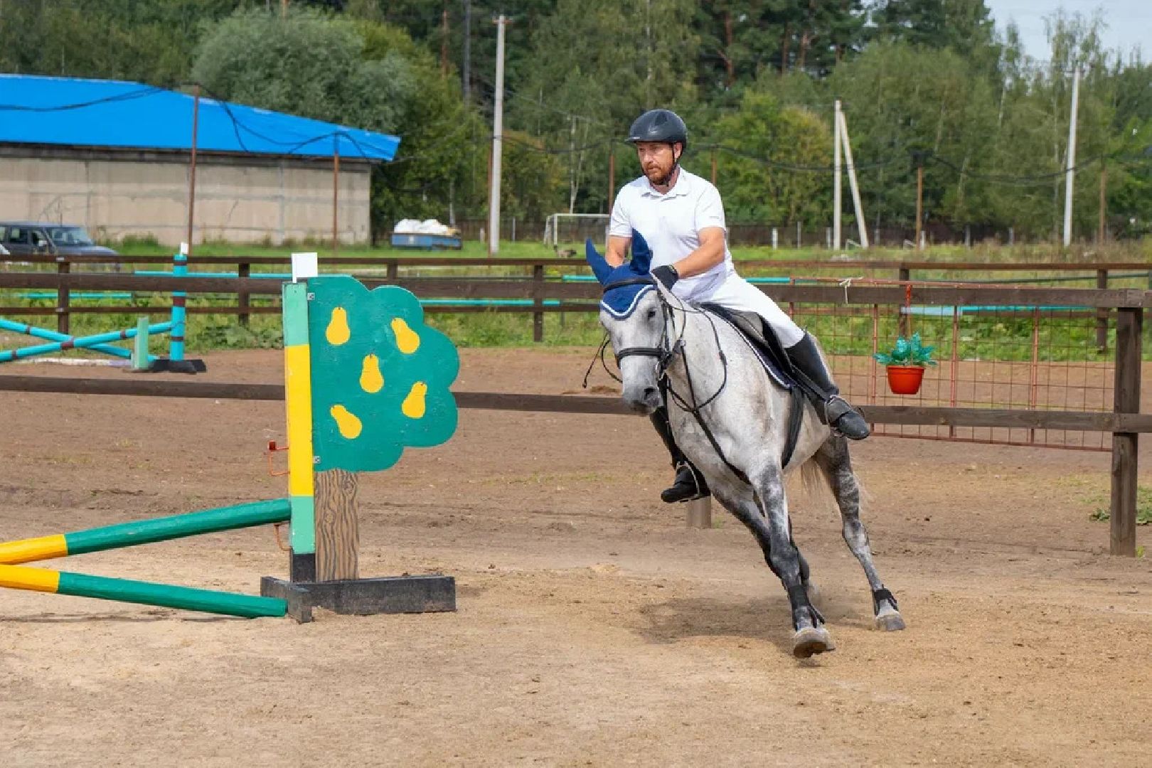 Спорт, конный спорт, конкур, соревнования, Орехово-Зуево