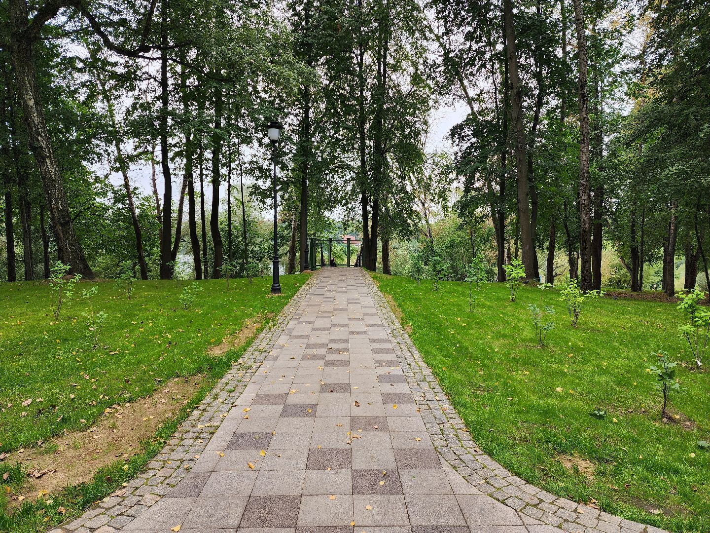 Раменское, благоустройство, Раменский городской парк, смотровая площадка с видом на озеро