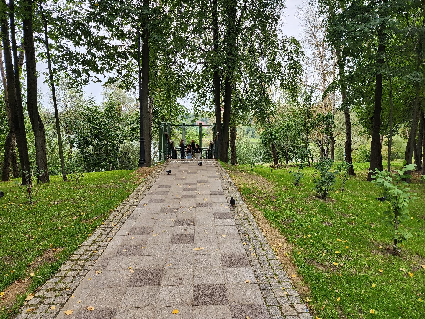 Раменское, благоустройство, Раменский городской парк, смотровая площадка с видом на озеро