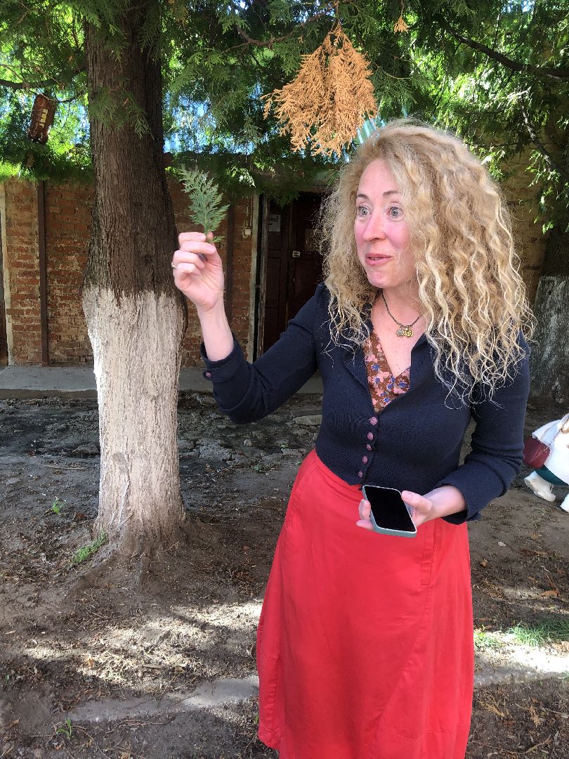 коломна, культура, шёлковая фабрика