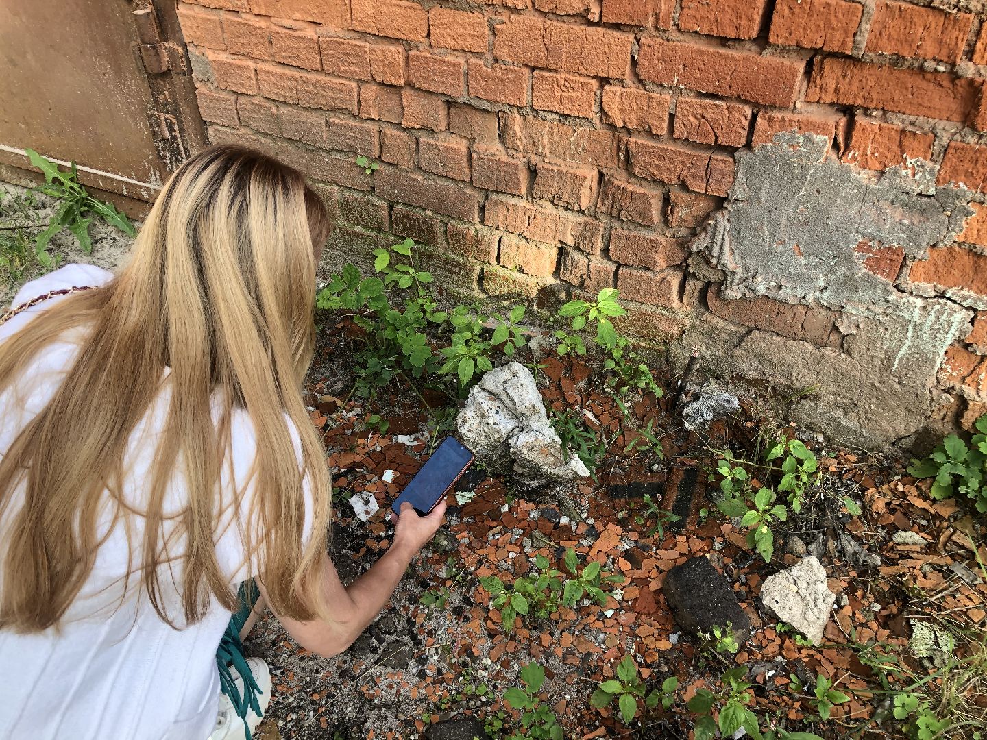 коломна, культура, шёлковая фабрика