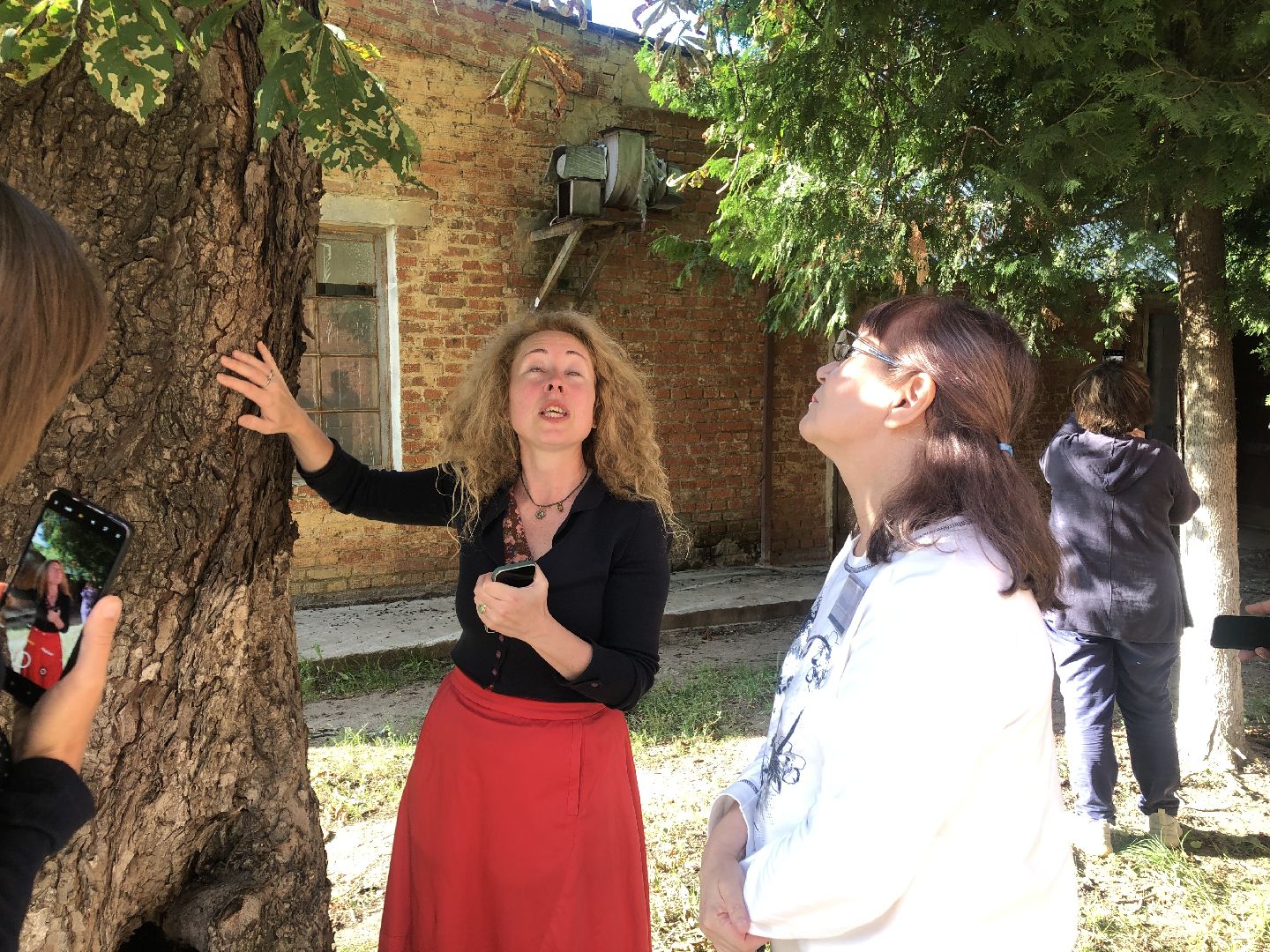 коломна, культура, шёлковая фабрика