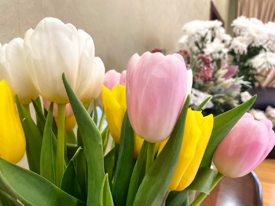 Сергиев Посад, 8 марта, Праздник, Международный женский день, Юбилей, Мособлдума, Сергиево-Посадский округ