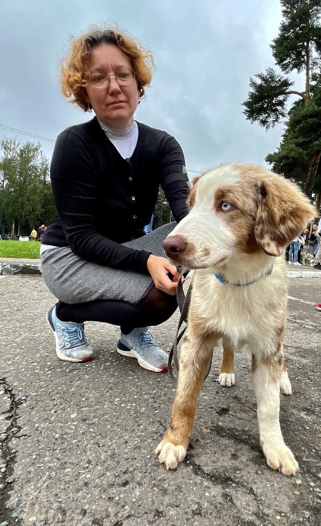 Наро-Фоминск, Нара-Дог, выставка собак, кане-корсо, русская псовая борзая