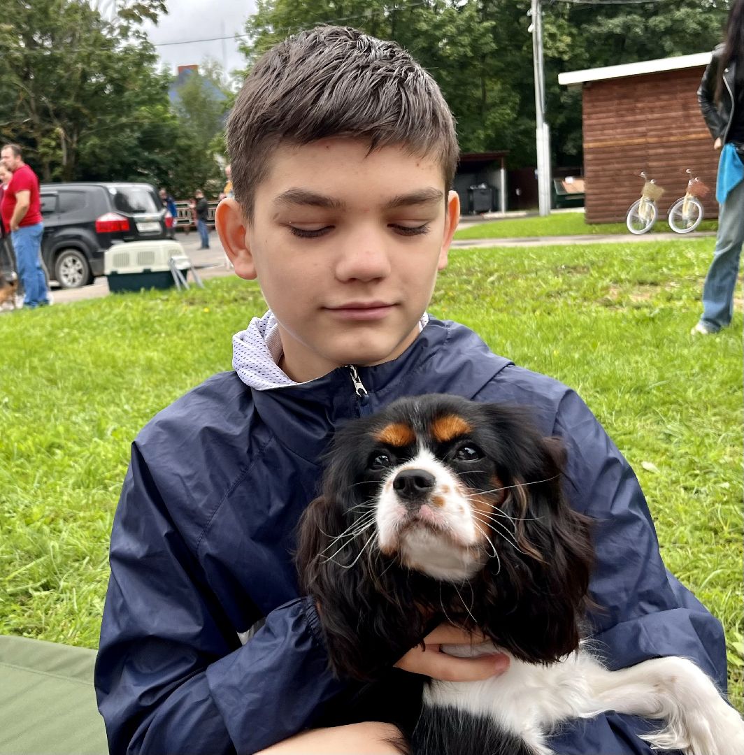 Наро-Фоминск, Нара-Дог, выставка собак, кане-корсо, русская псовая борзая