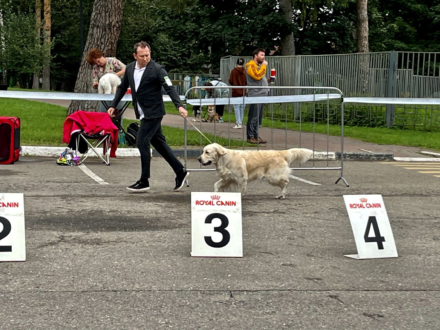 Наро-Фоминск, Нара-Дог, выставка собак, кане-корсо, русская псовая борзая