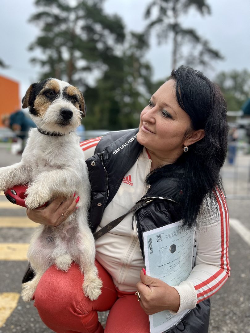 Наро-Фоминск, Нара-Дог, выставка собак, кане-корсо, русская псовая борзая