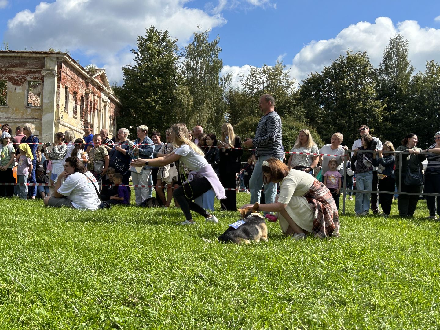 фестиваль, собаки, Щёлково, усадьба, спасатели