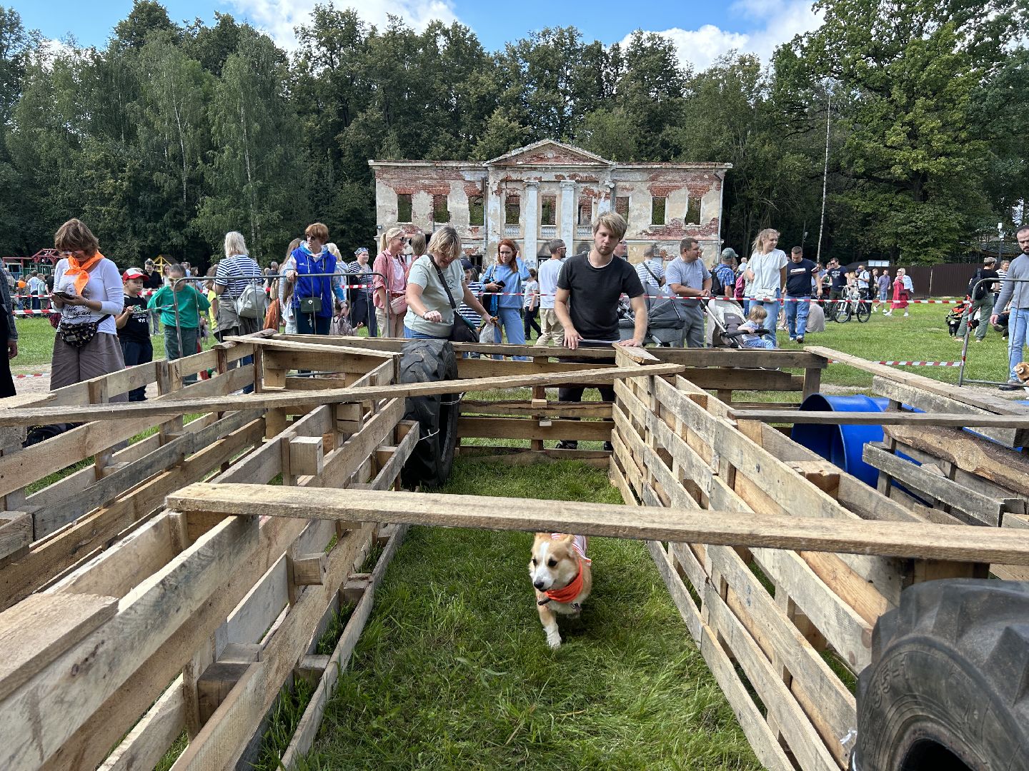 фестиваль, собаки, Щёлково, усадьба, спасатели