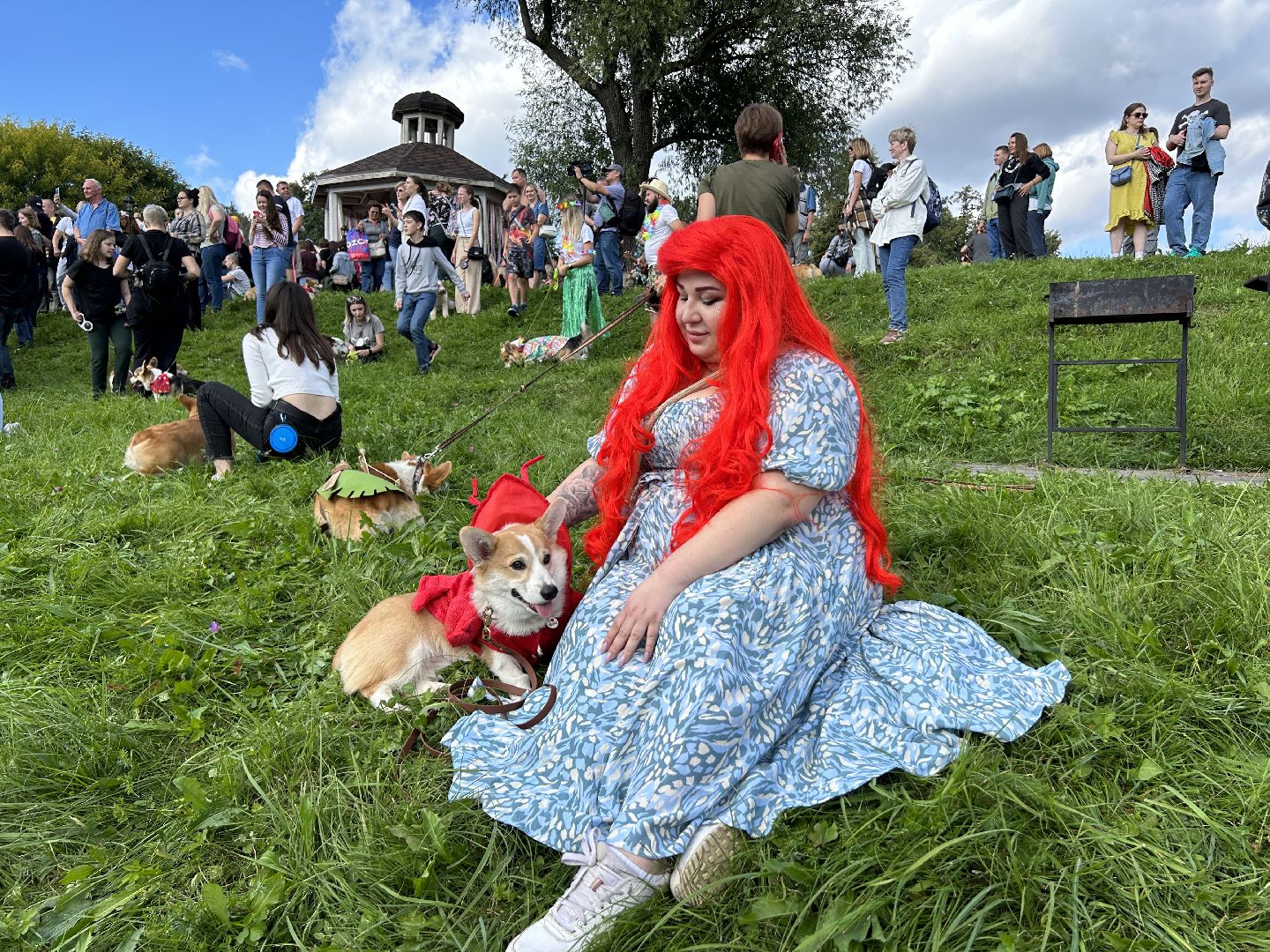 фестиваль, собаки, Щёлково, усадьба, спасатели