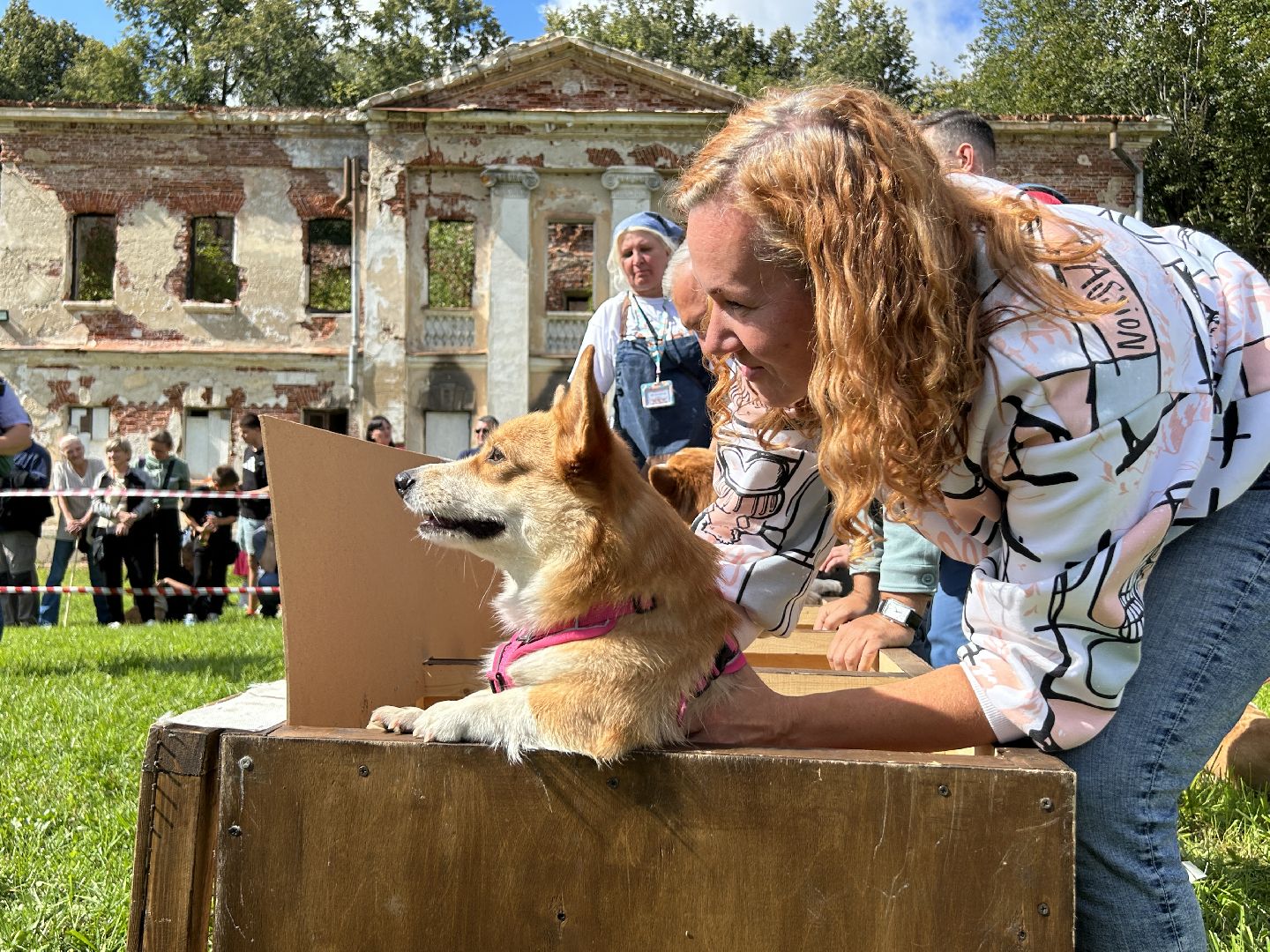 фестиваль, собаки, Щёлково, усадьба, спасатели