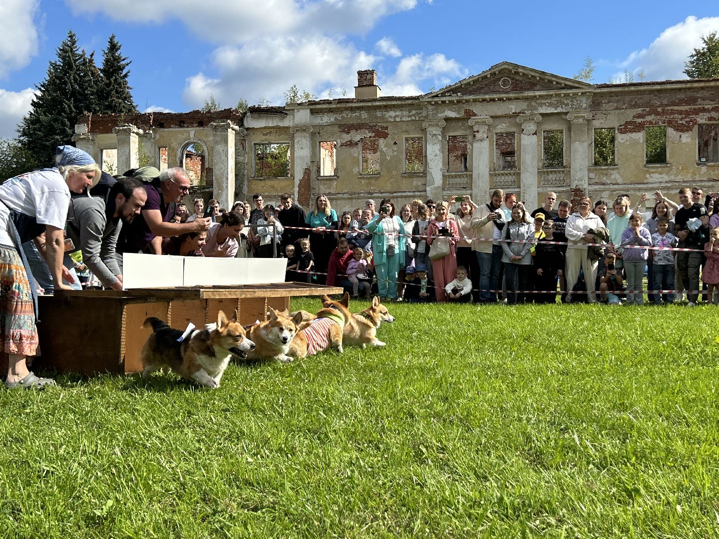 фестиваль, собаки, Щёлково, усадьба, спасатели