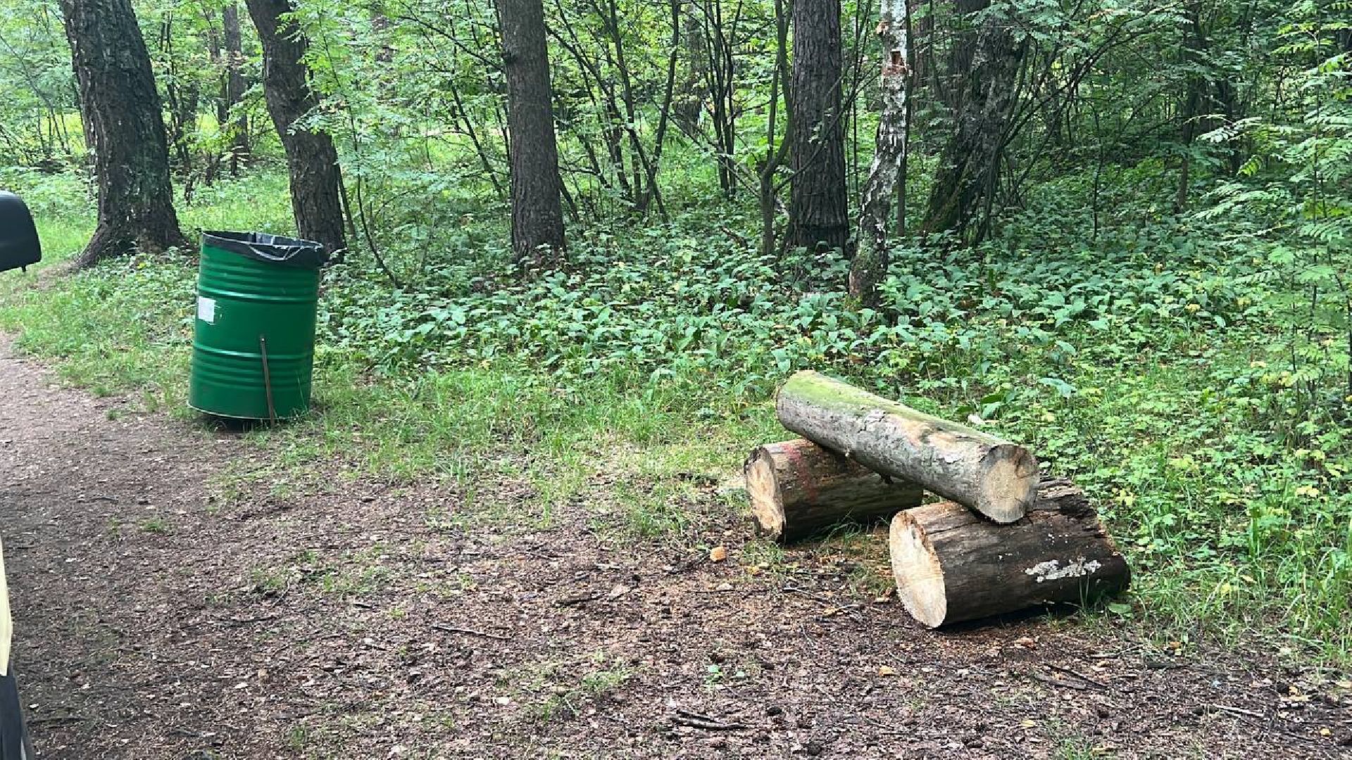 лесопарк, благоустройство, уборка мусора, Котельники
