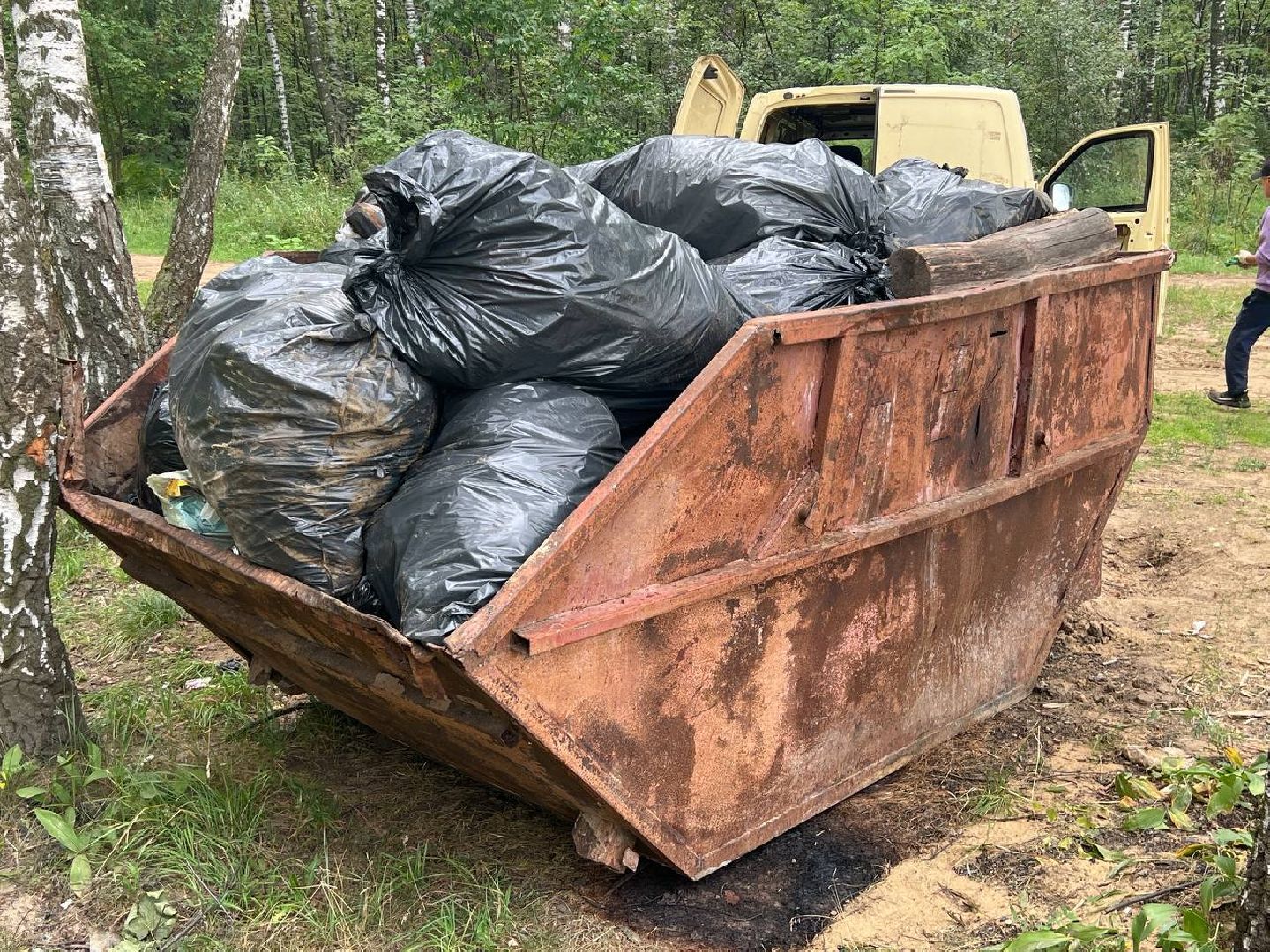лесопарк, благоустройство, уборка мусора, Котельники