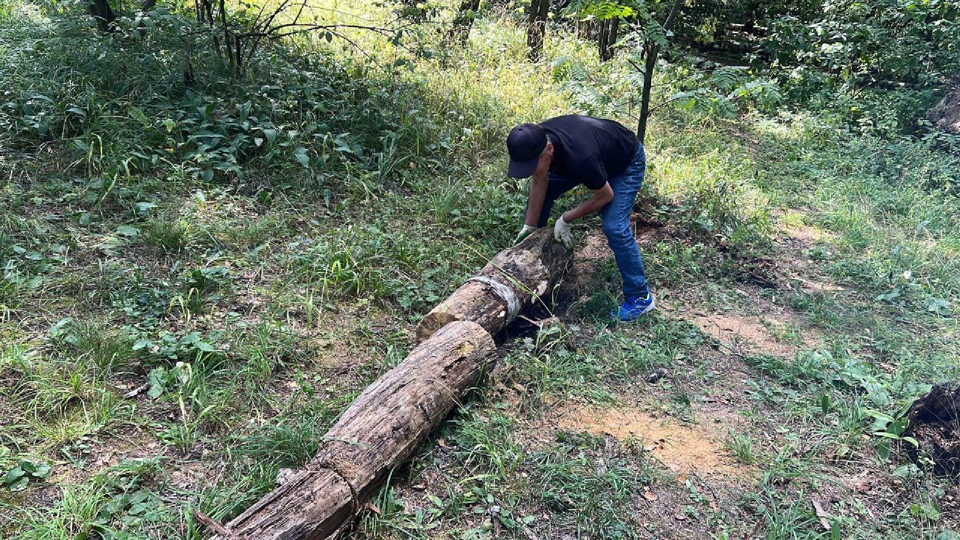 лесопарк, благоустройство, уборка мусора, Котельники