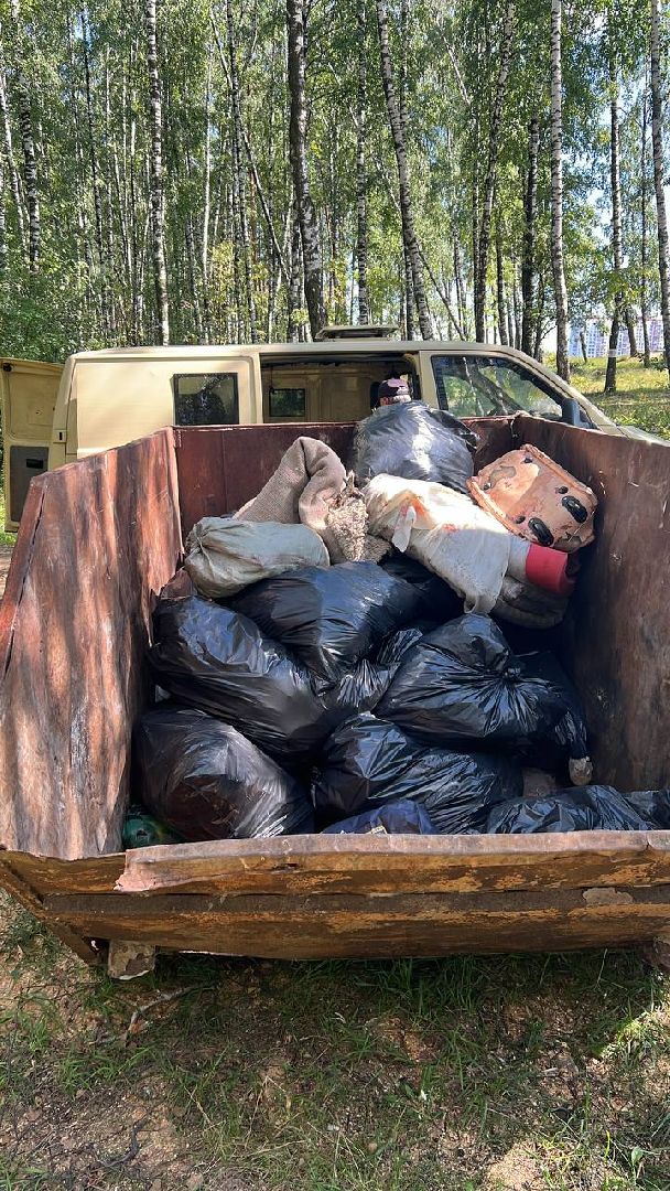 лесопарк, благоустройство, уборка мусора, Котельники