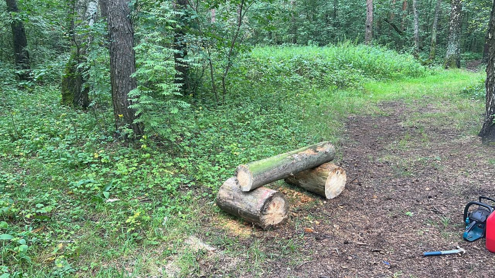 лесопарк, благоустройство, уборка мусора, Котельники