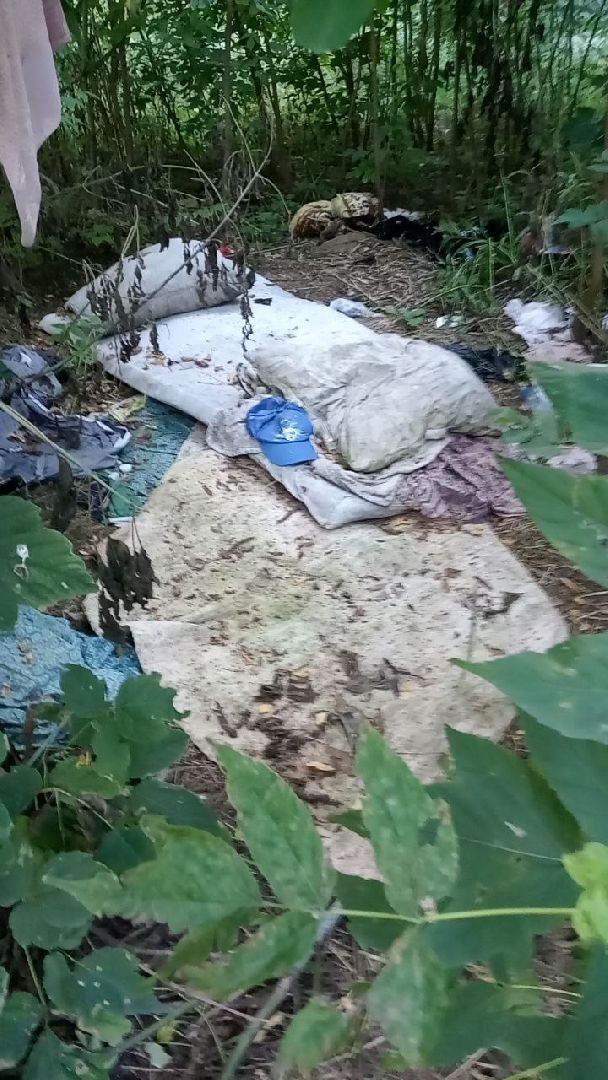 лесопарк, благоустройство, уборка мусора, Котельники