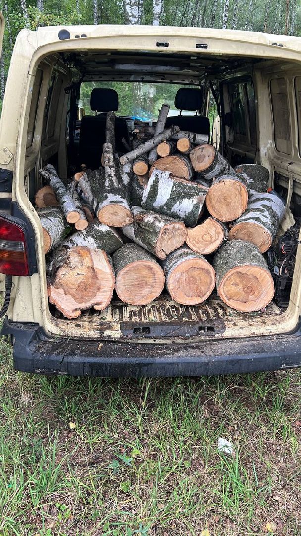 лесопарк, благоустройство, уборка мусора, Котельники