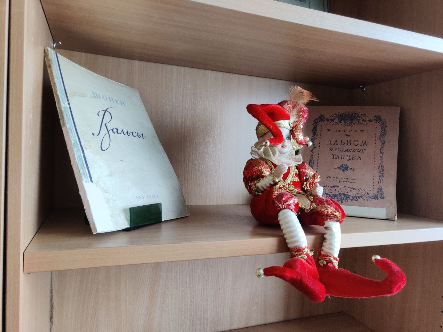 Красноармейск, Пушкинский, грампластинки, библиотека