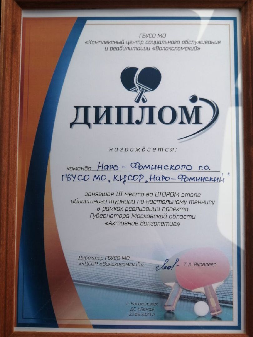 Турнир по настольному теннису, Активное долголетие, наро-фоминск,