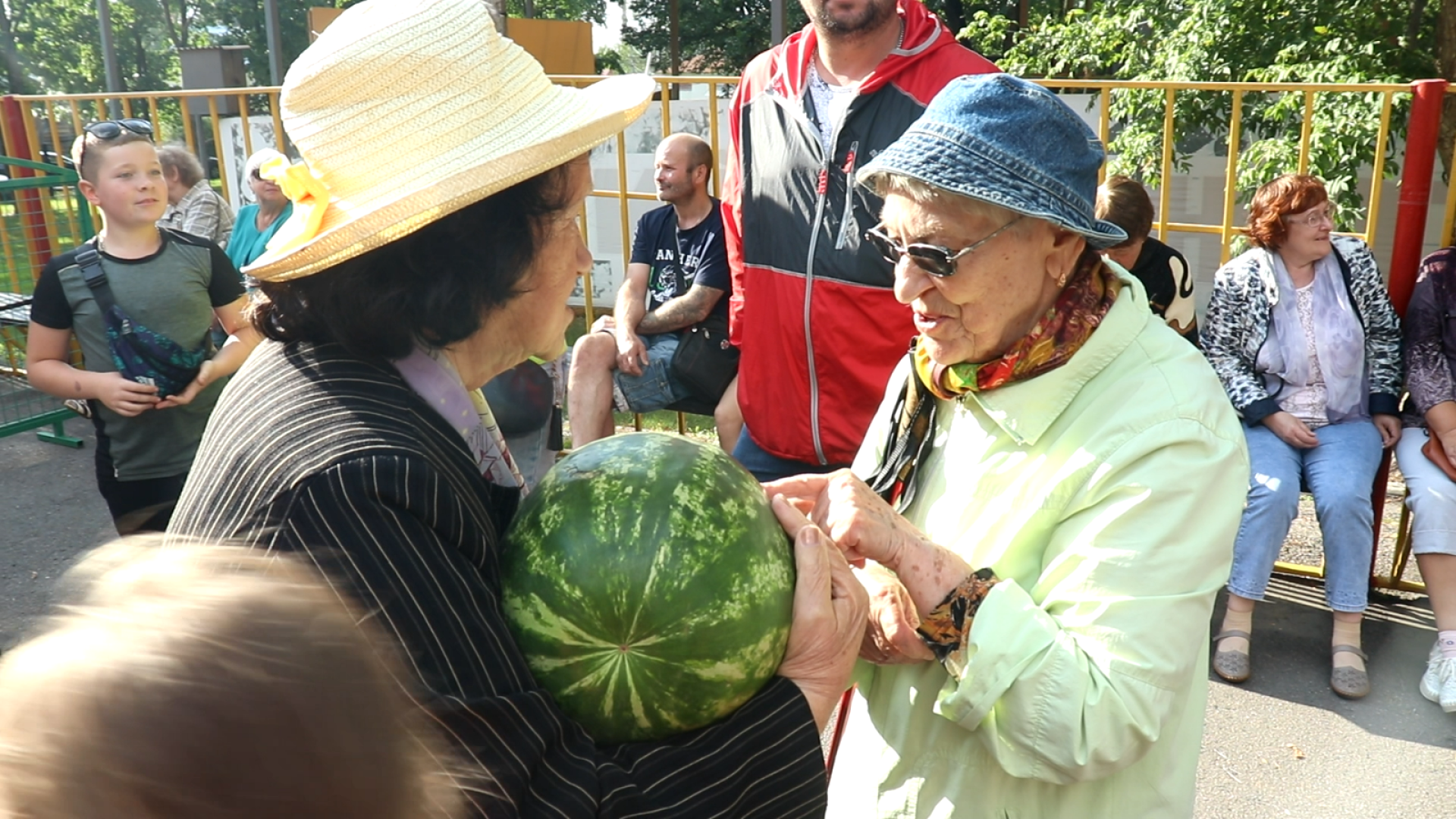 на одной волне, Егорьевск, арбузный бум, арбузы, еда,